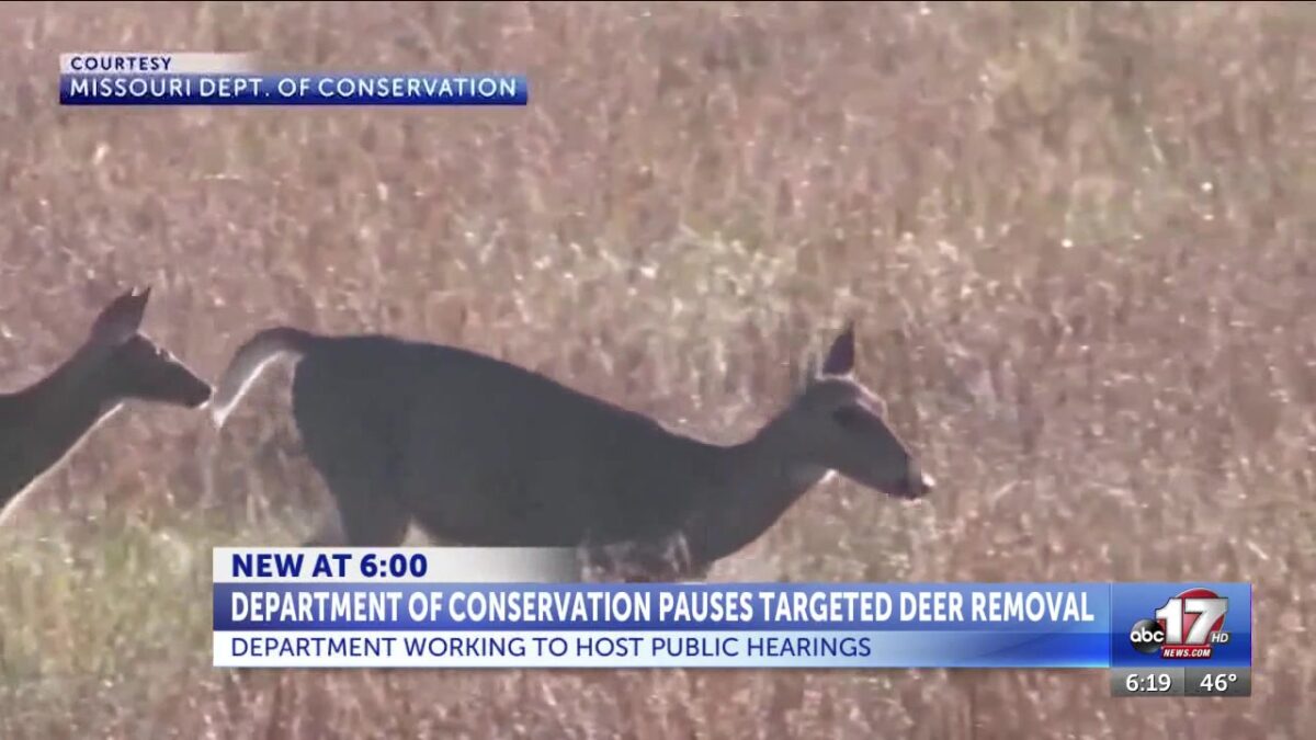 Missouri Department of Conservation puts pause on post-hunting season deer cull