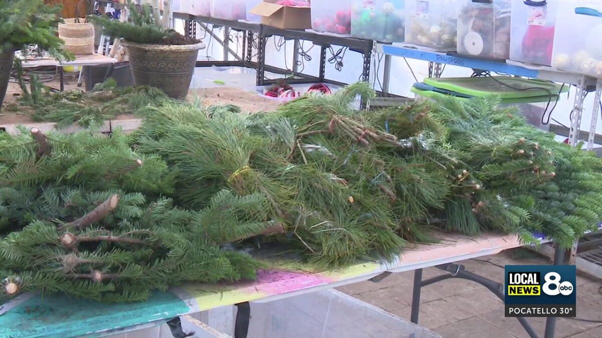 Idaho’s unseasonably warm winter wakes up spring bulbs; What you should do