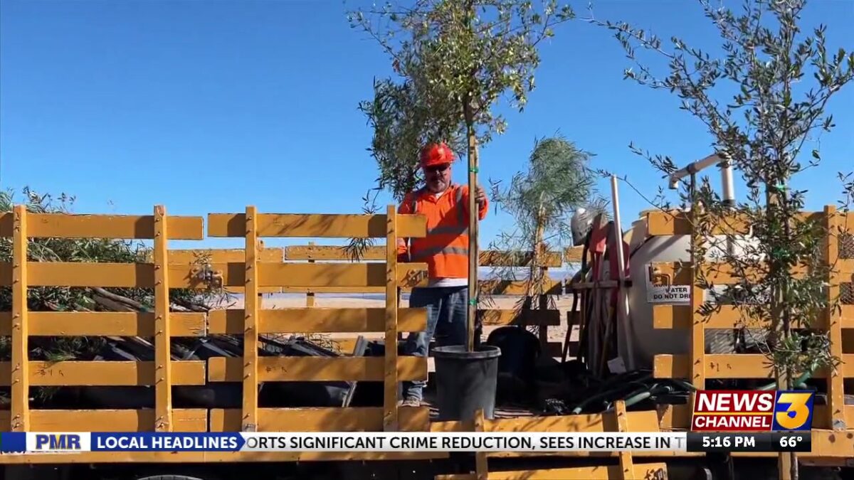 Tree shade program brings 1