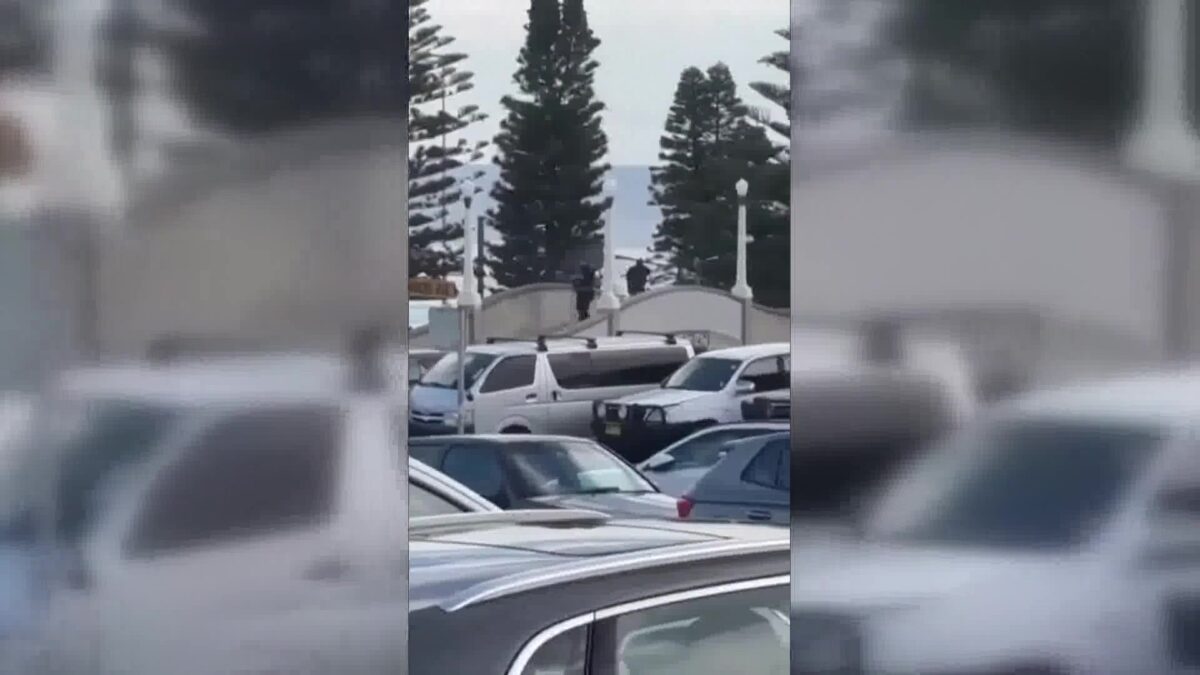 Former State Senator Hannah-Beth Jackson Reacts to Attacks on First Night of Hanukkah