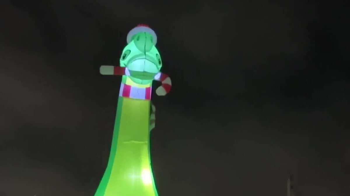 Santa Barbara Parade of Lights and Fireworks Light Up Harbor