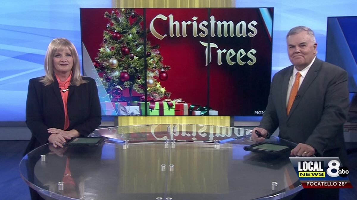 Don’t Let Your Christmas Tree Go Up In Smoke: IFFD’s essential tips for a safe Holiday Season