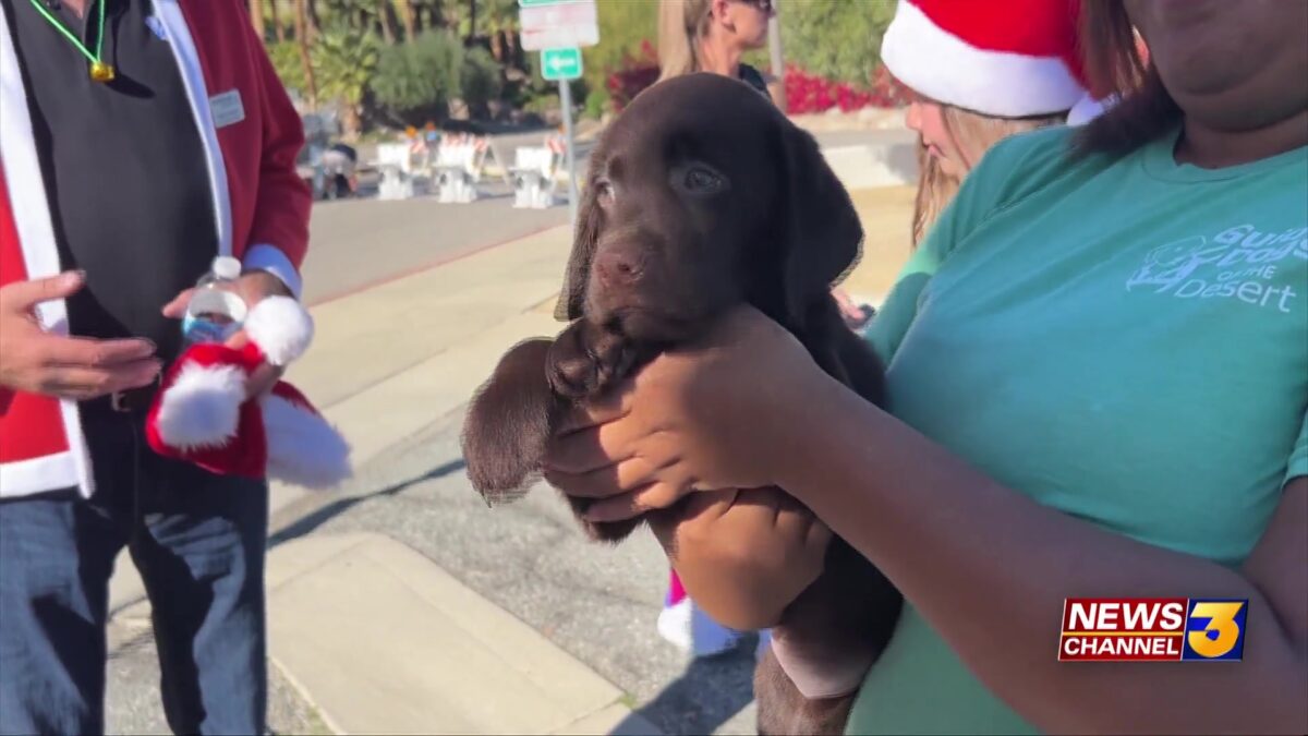 Guide Dogs of the Desert hosts annual ‘Jingle Paws’ 5K 