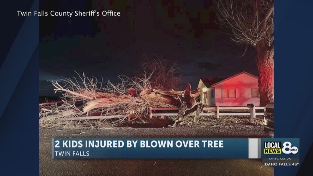 Twin Falls children injured by falling tree while waiting for school bus