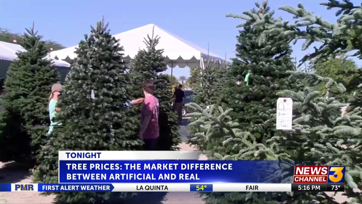 Tree Prices: The market difference between artificial and real