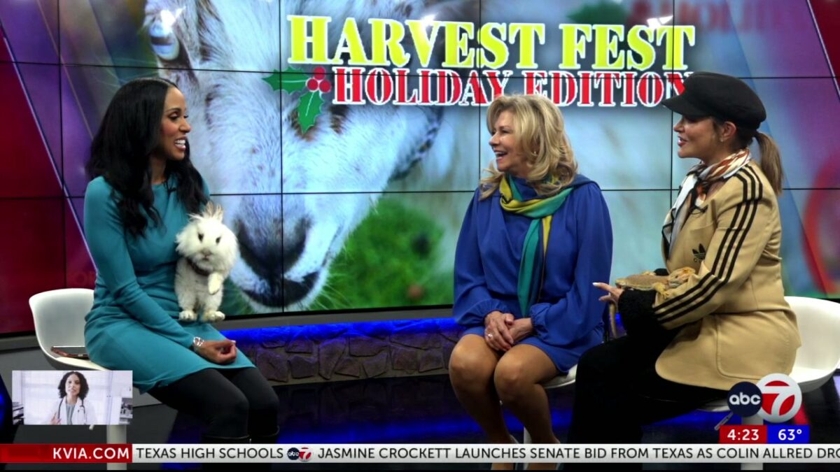 ABC-7 at 4: Fall harvest festival holiday edition