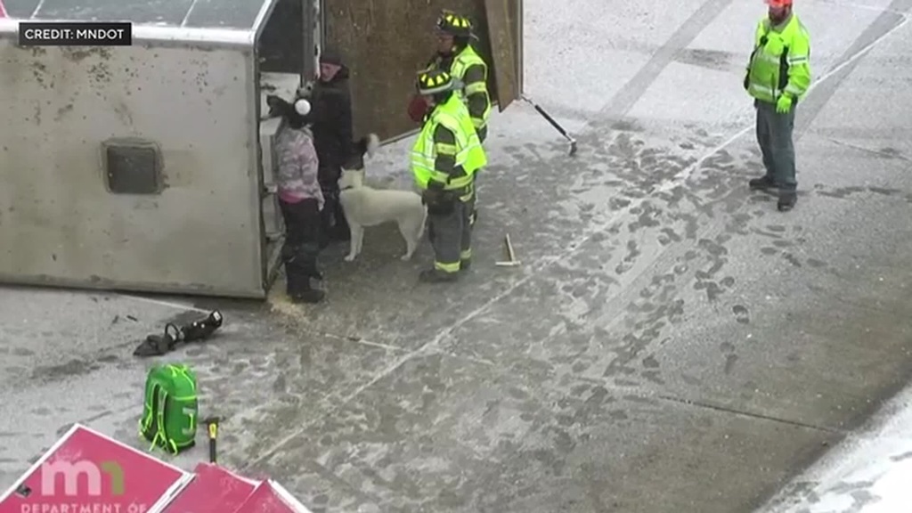 The huskies are part of Silent Run Adventures