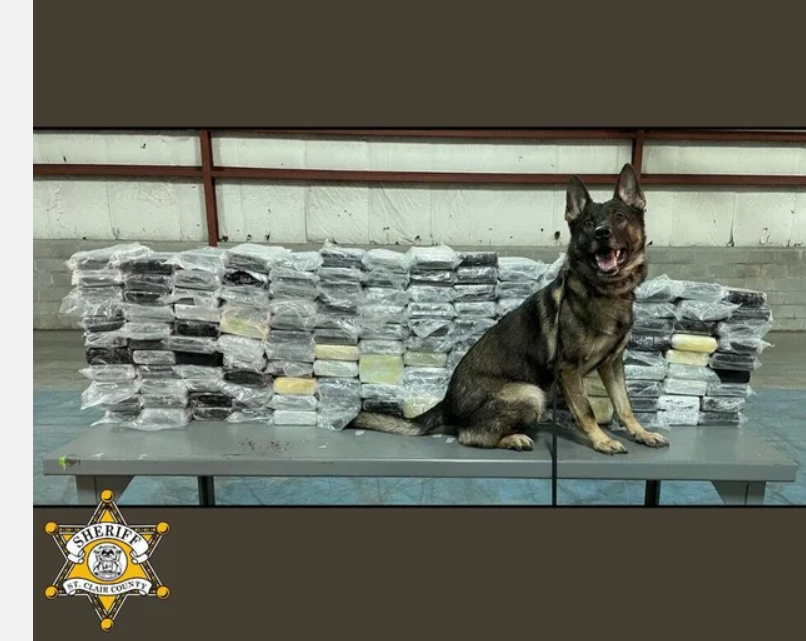 The St. Clair County Sheriff's Office said nearly 400 pounds of cocaine was intercepted on Nov. 25 in Michigan