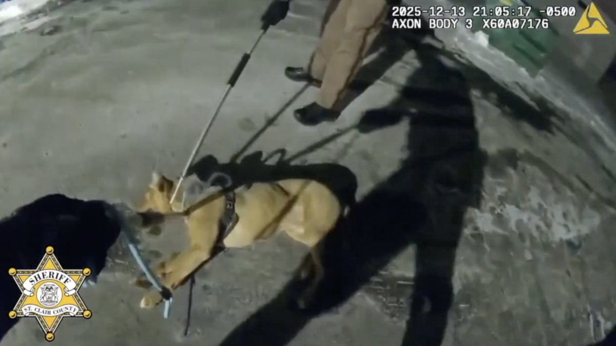 Members of the community are expressing outrage over a St. Clair County sheriff's deputy's actions in shooting and killing an aggressive dog.