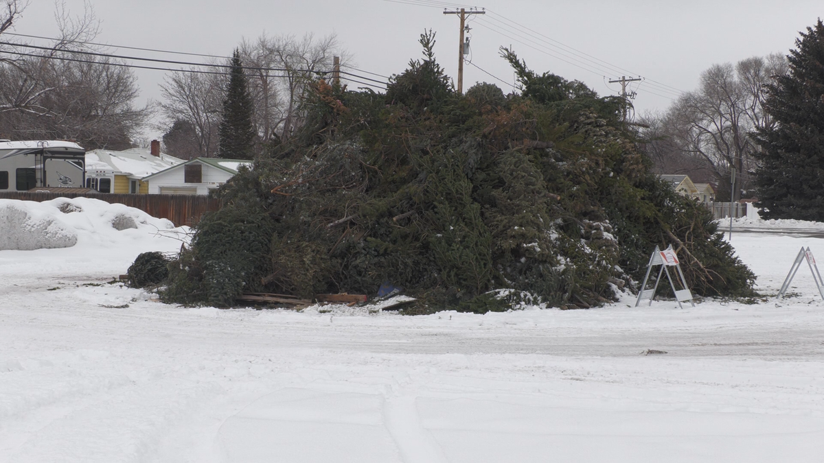 Ammon’s annual Christmas tree bonfire set for Jan. 17
