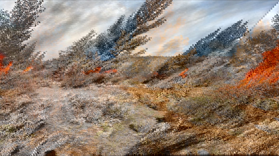 BLM conducting pile burning this week on Cline Buttes west of Redmond