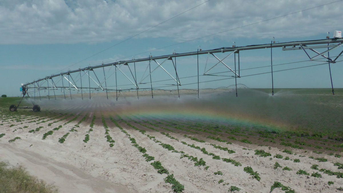 Rep. Simpson announces $13 Million secured for critical water infrastructure across southeast Idaho