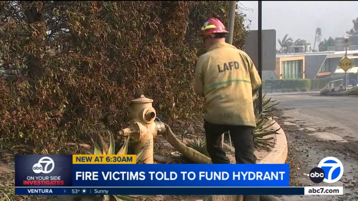 The Spitzs felt they were being punished for wanting to rebuild. Adding to the confusion