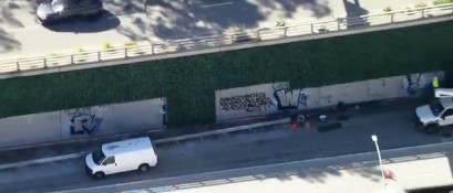 So-called "graffiti-proof" ivy that was recently installed along the 101 Freeway in downtown Los Angeles was vandalized over the weekend