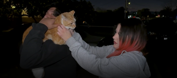 A friendly neighborhood cat is recovering after being shot by a crossbow in San Jose.