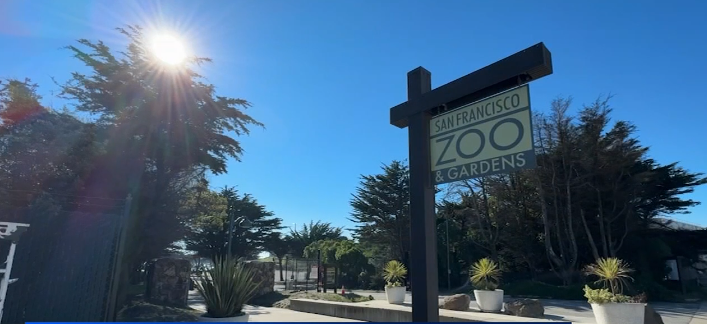 San Francisco Zoo has faced backlash over its crumbling facilities
