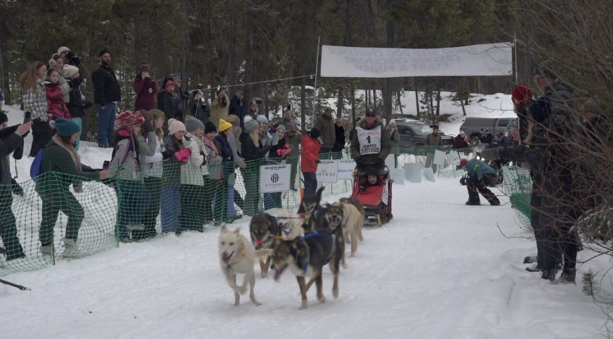 The Idaho Sled Dog Challenge canceled the 100-mile and the 300-mile Iditarod qualifier because of a lack of snow