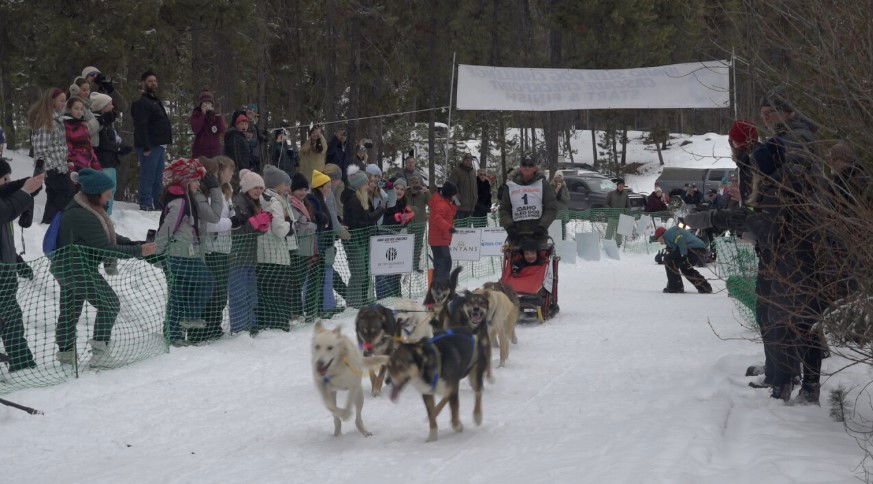 Mushers and their dogs compete in the Warm Lake Stage Race