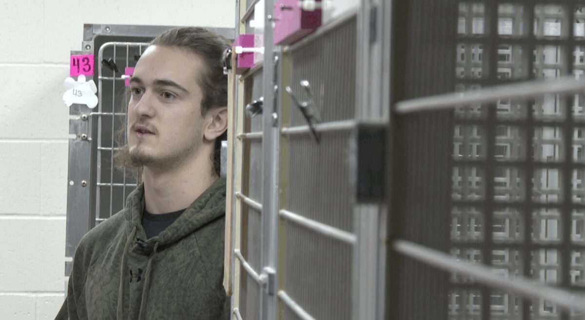 Six weeks after a devastating fire at Lily's Play-and-Stay claimed the life of 17-year-old Gidget