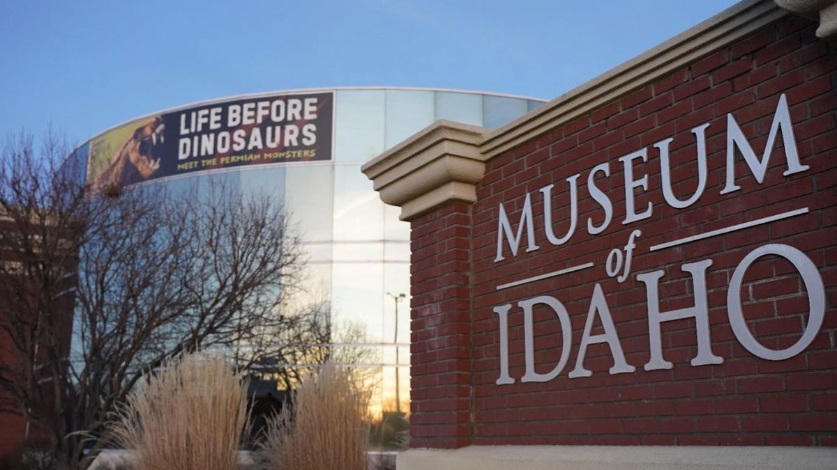 Life Before Dinosaurs: The Museum of Idaho’s new prehistoric exhibit opens January 31