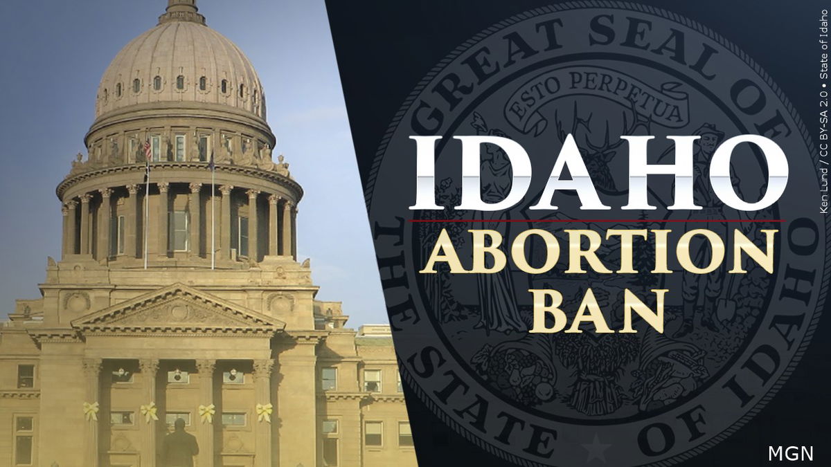 Idaho Democrats mark Roe v. Wade anniversary with call for end to near-total abortion ban
