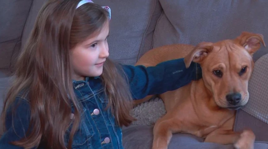 A Tewksbury 7-year-old accomplished a goal she set out to tackle while fighting off a terrible skin infection that left her in the hospital for eight days.