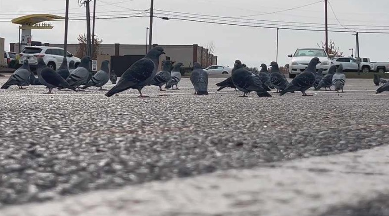 At a busy shopping center in Byram