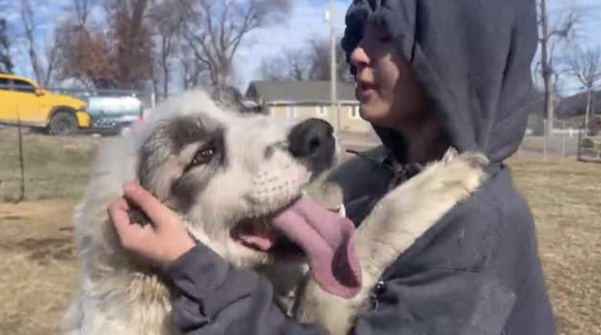 Firefighters rescued a Great Pyrenees stuck in mud along the Iowa River near Marshalltown