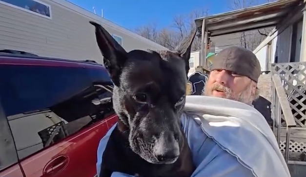 Monroe Township firefighters rescued a dog named Bullet after the dog fell through the ice on a frozen pond