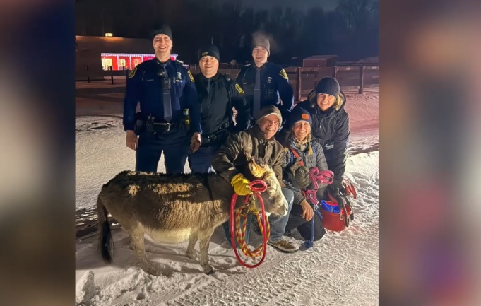 A miniature donkey named Dolly Parton is back home safe after escaping from her Holly Township farm Tuesday night