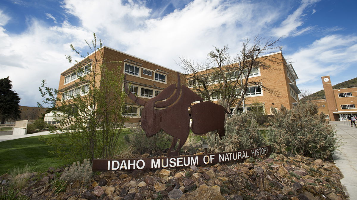 Museum of Natural History to host event on cartographic encounters and a rediscovery of the far west fur trade