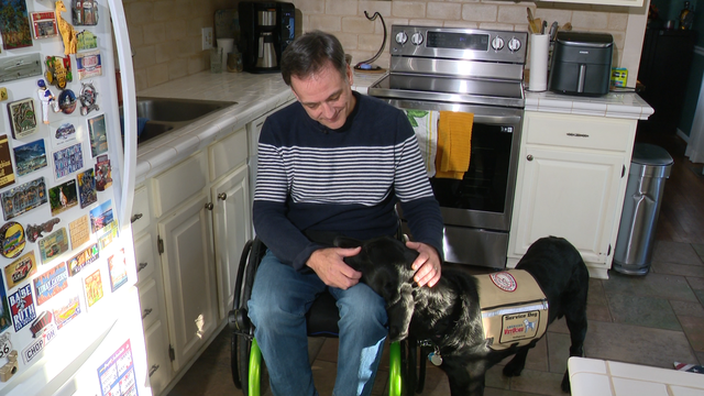 With his soulful eyes and gentle spirit