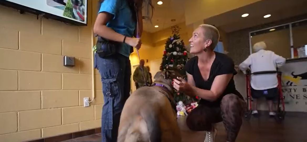 At the Patty Baker Humane Society of Naples