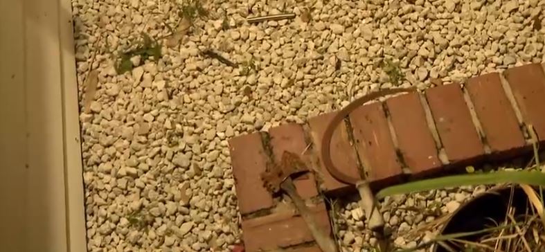 Charles Reed Knight was arrested by the Brevard County Sheriff's Office shortly after and booked with trespassing