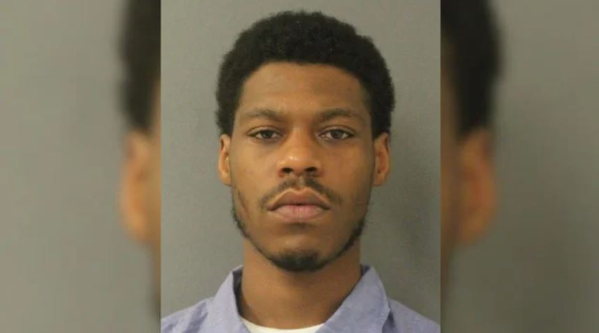 28-year-old Kahili Hines of Baltimore is accused of stealing seven puppies from a home in Maryland and selling them outside a mall.