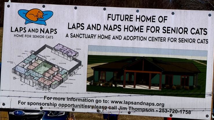 To give more senior cats happy golden years