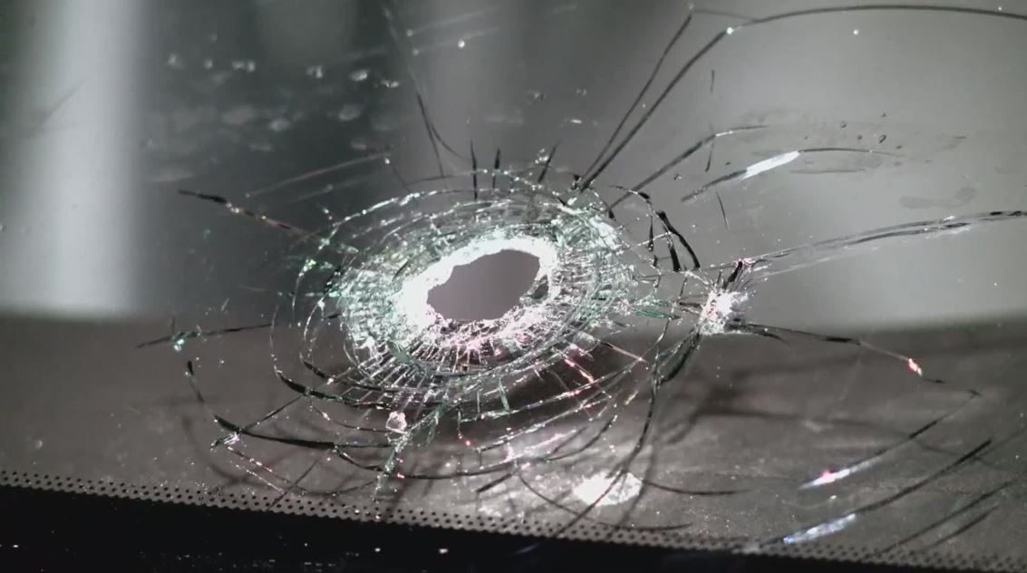 When Toni Constantino walked around her house to find out what the sound was