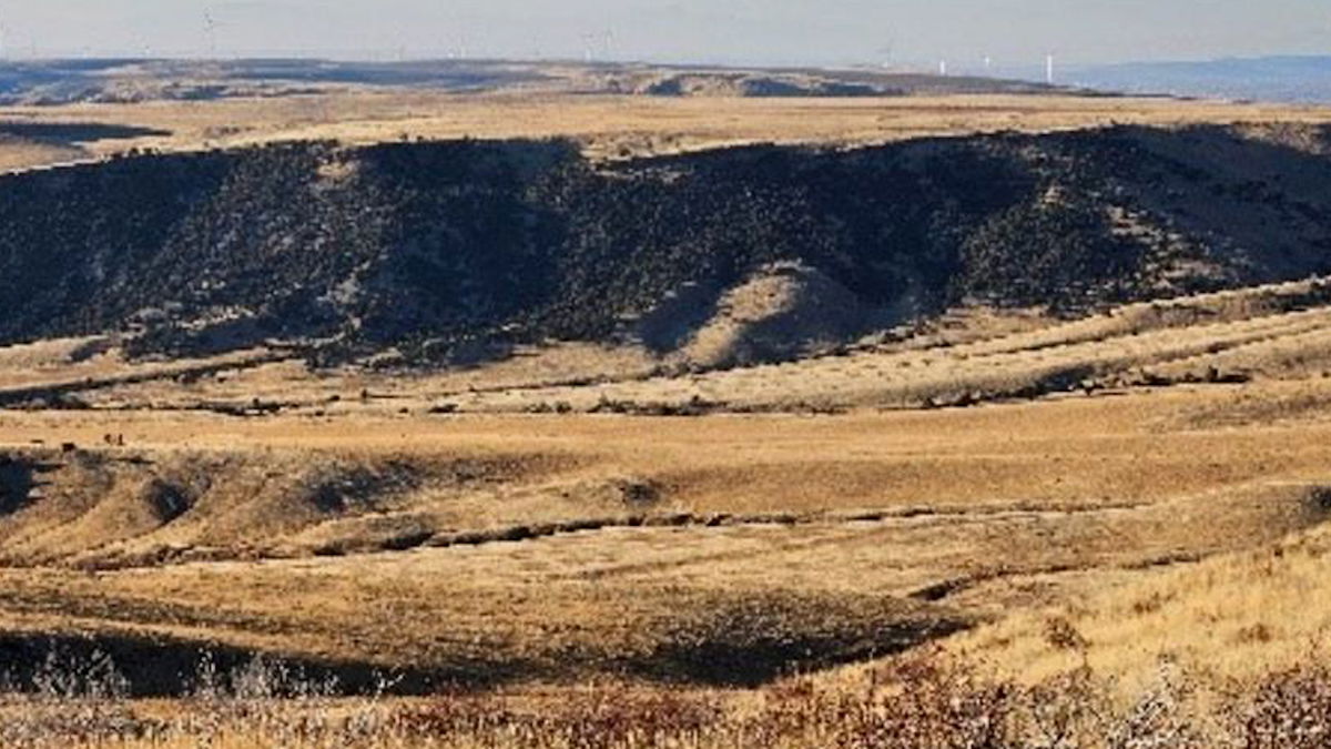 New property acquisition expands Tex Creek Wildlife Management Area by 280 acres