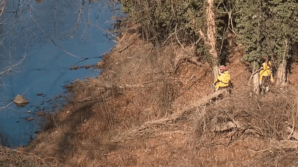 Police spoke to Johnson's sister