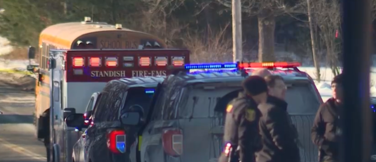 In its preliminary report