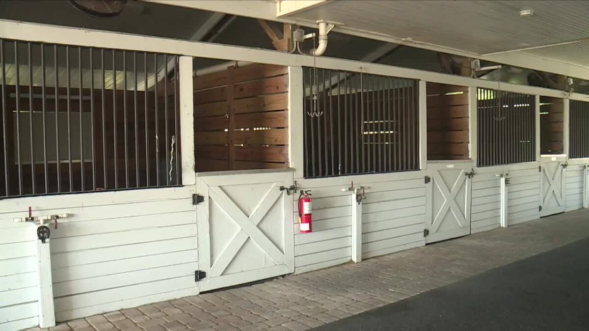 Five horse manure haulers are accusing two Palm Beach County municipalities of unfairly steering business to a competitor