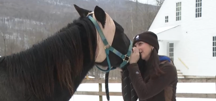 The Dorset Equine Rescue said they helped save 11 horses from a farm in Melrose