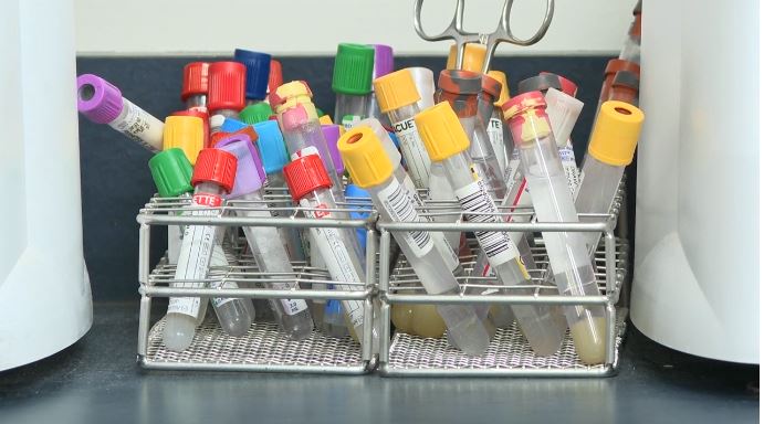 Infectious disease researchers in Henrico County are working on the final stages of the world’s first norovirus vaccine.