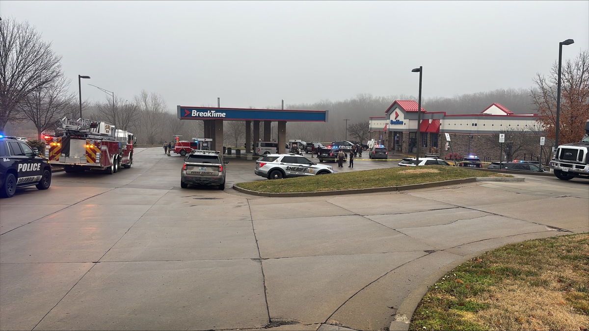 Court documents describe events leading up to Columbia police shooting arson