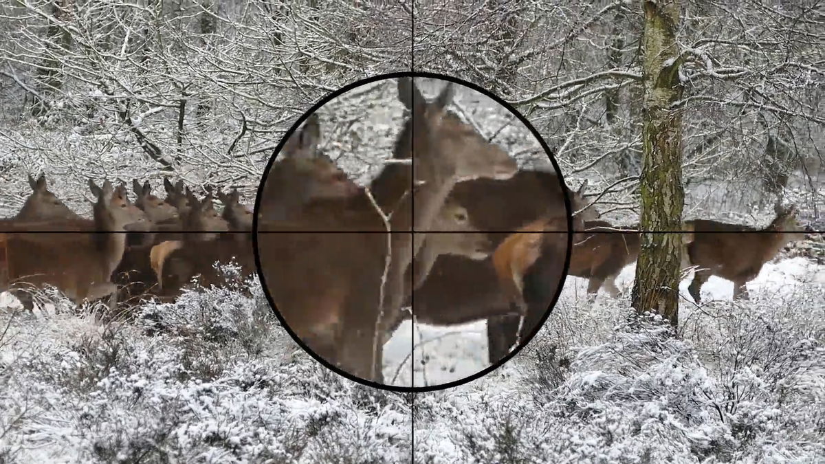 How much tech is too much? Idaho hunters debate proposed legislation