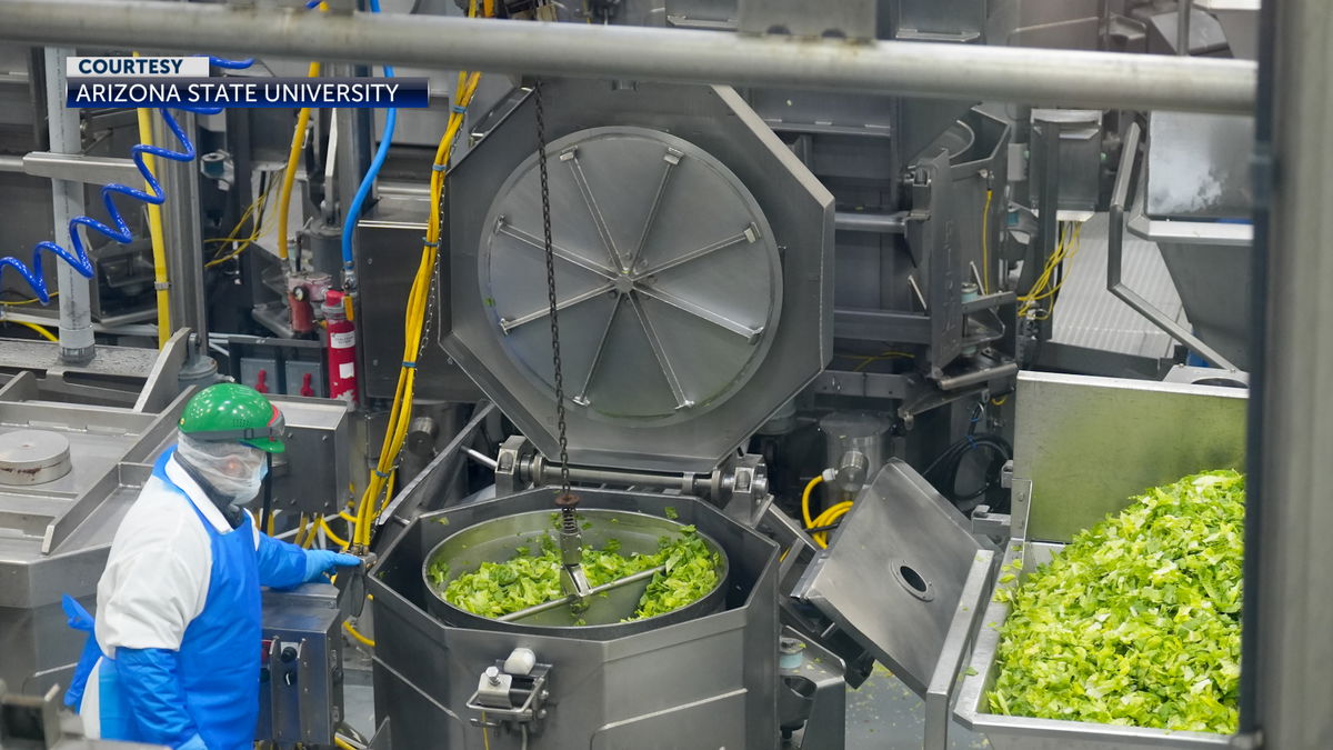 Yuma agriculture impresses leaders statewide