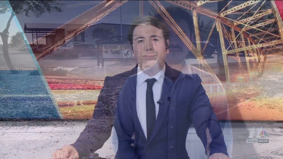 YPD and HSOY share numbers after New Years