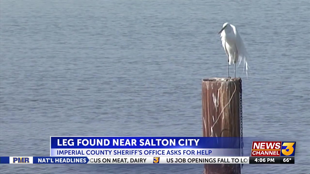 ICSO finds human leg in the Salton City area