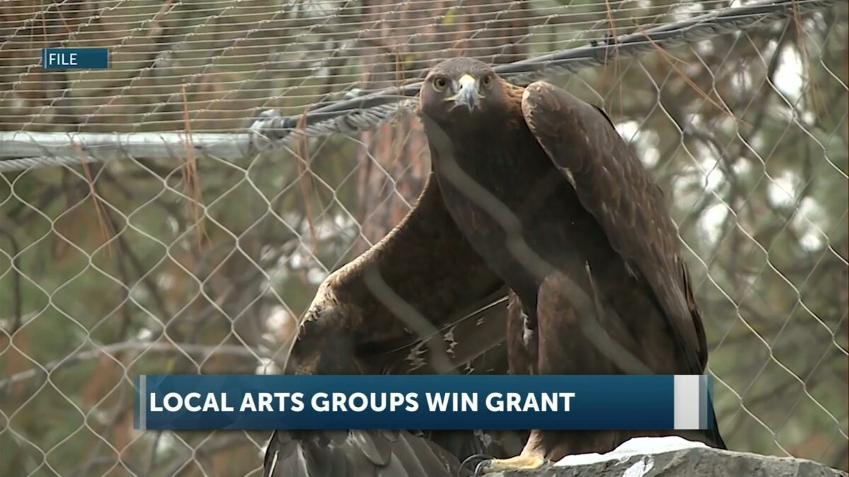 Local arts groups win grant award