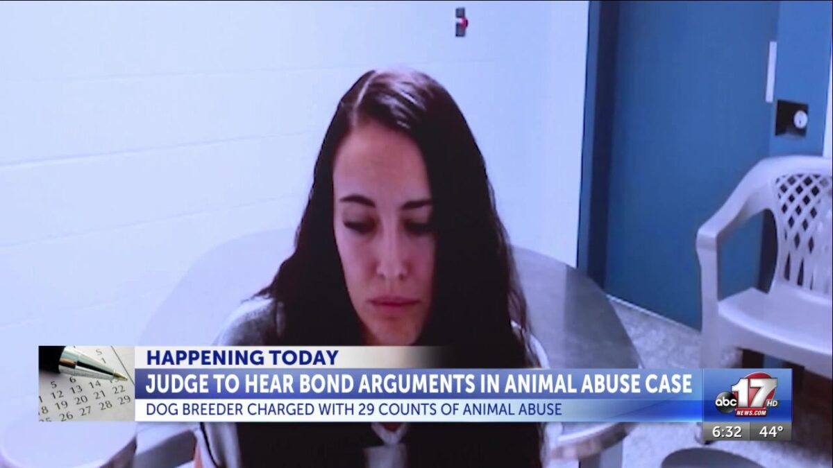 Judge considers bond and venue change for Boone County dog breeder